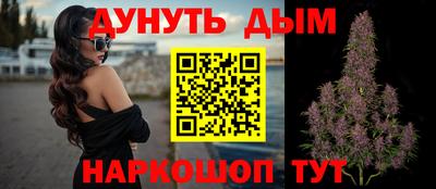 МДПВ Дубна