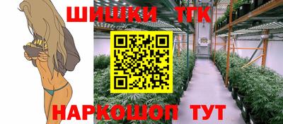 МДПВ Дубна