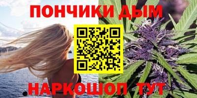 МДПВ Дубна