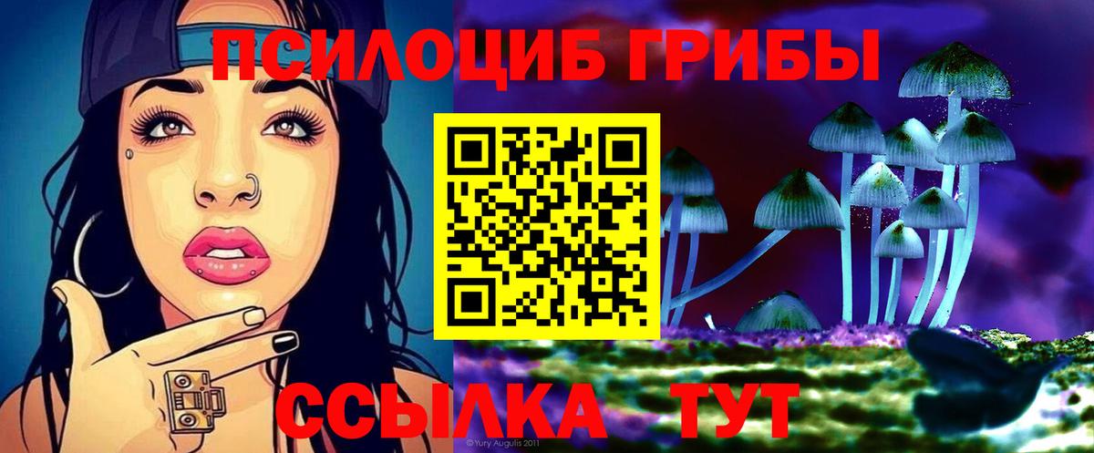 Галлюциногенные грибы GOLDEN TEACHER Лосино-Петровский